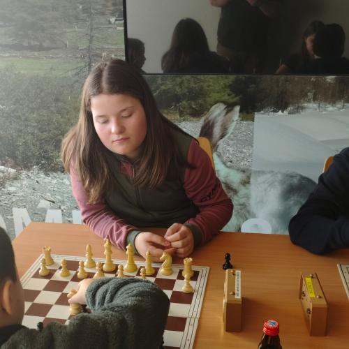 Schach_Bezirksfinale_2026_3