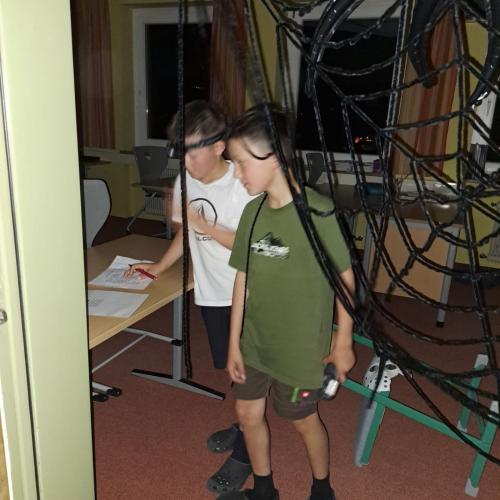 lese 11