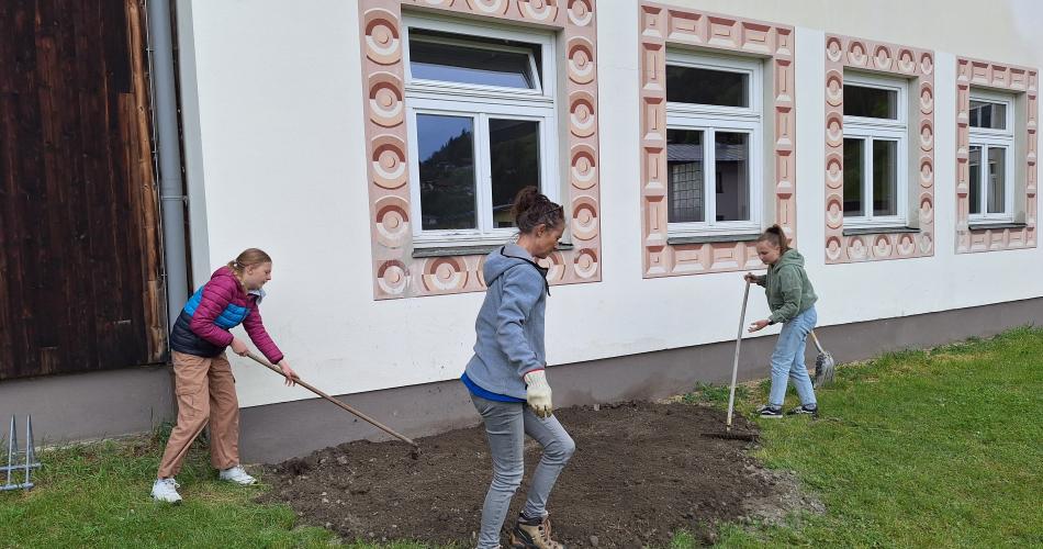 Projekt 2